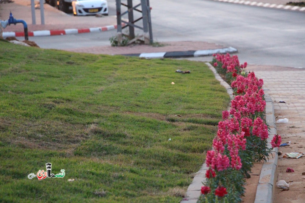 كفرقاسم : حديقة الملاعب تكتسي بالعشب الاخضر والزهور والبلدية تؤكد  تم وضع برنامج صيانة دائم لكل المنتزهات والحدائق والشوارع   